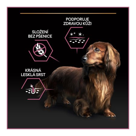 PRO PLAN Small & Mini Adult Sensitive Skin granule pro psy losos 7 kg