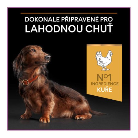 PRO PLAN Small & Mini Adult 9+ Age Defence granule pro psy kuře 7 kg