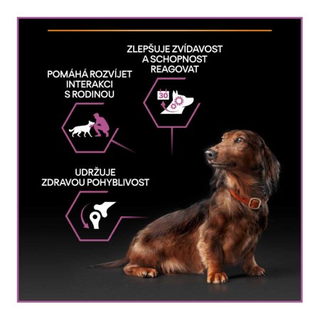 PRO PLAN Small & Mini Adult 9+ Age Defence granule pro psy kuře 7 kg