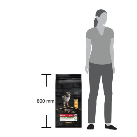 Pro Plan Medium Puppy kuře 12 kg