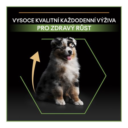 Pro Plan Medium Puppy kuře 12 kg