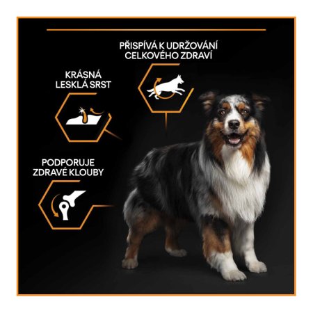 PRO PLAN Medium Adult Everyday Nutrition granule pro psy kuře 3 kg