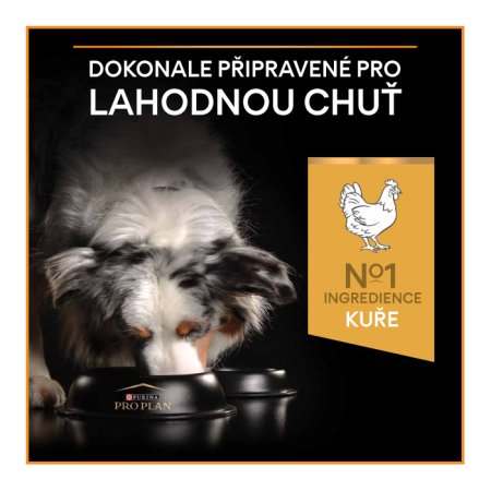 Pro Plan Medium Adult kuře 14 kg