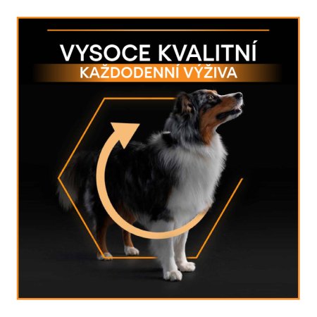 Pro Plan Medium Adult kuře 14 kg