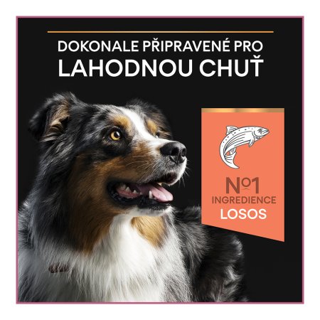 PRO PLAN Medium Adult Sensitive Skin granule pro psy losos 3 kg