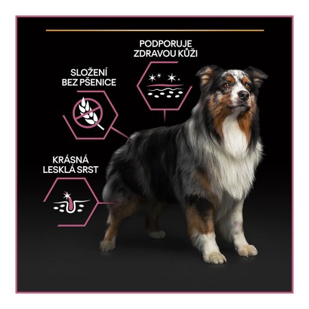 PRO PLAN Medium Adult Sensitive Skin granule pro psy losos 3 kg