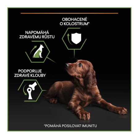 Pro Plan Large Puppy Athletic kuře 12 kg