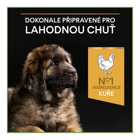 Pro Plan Large Puppy Robust kuře 12 kg