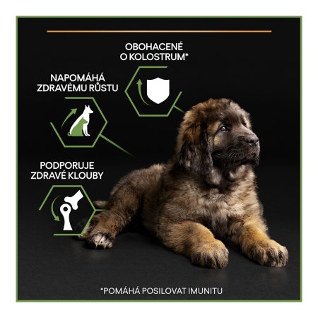 Pro Plan Large Puppy Robust kuře 12 kg