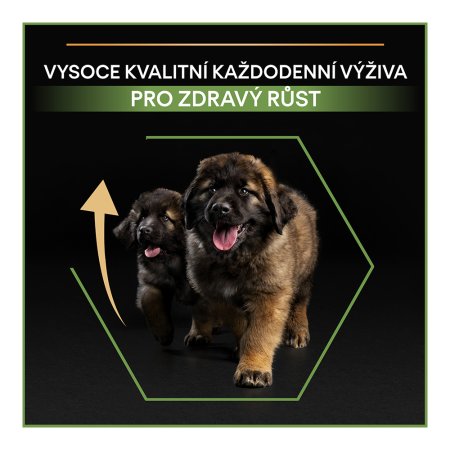 Pro Plan Large Puppy Robust kuře 12 kg