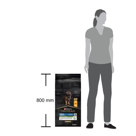Pro Plan Large Puppy Robust kuře 12 kg