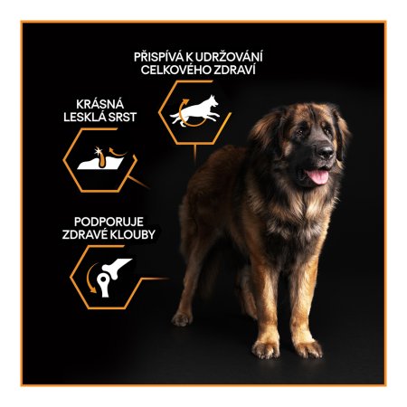 Pro Plan Large Adult Robust kuře 14 kg