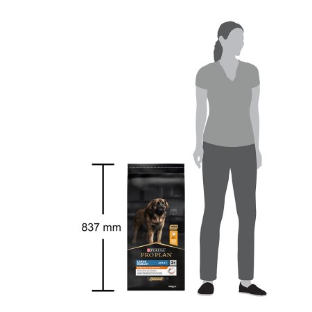 Pro Plan Large Adult Robust kuře 14 kg