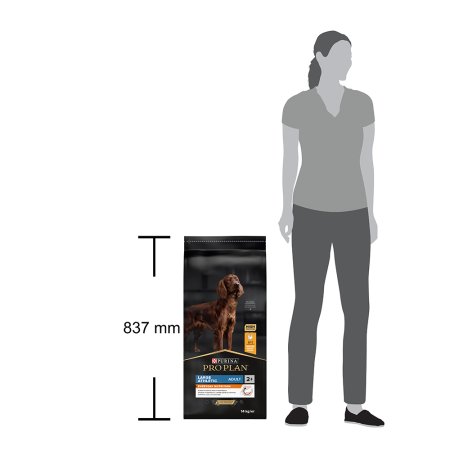 Pro Plan Large Adult Athletic kuře 14 kg