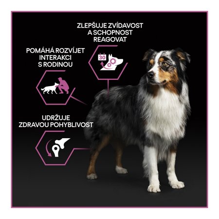 Pro Plan Medium & Large Adult 7+ kuře 3 kg