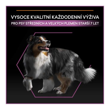 Pro Plan Medium & Large Adult 7+ kuře 14 kg