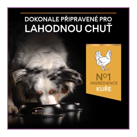 Pro Plan Medium & Large Adult 7+ kuře 14 kg