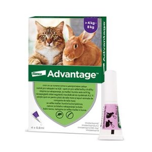 Advantage 80 10% 4x0,8ml pro kočky a králíky nad 4kg
