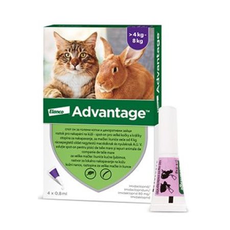 Advantage 80 10% 4x0,8ml pro kočky a králíky nad 4kg