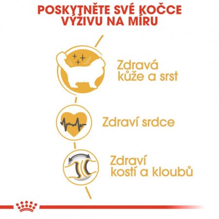 Royal Canin Ragdoll 2 kg