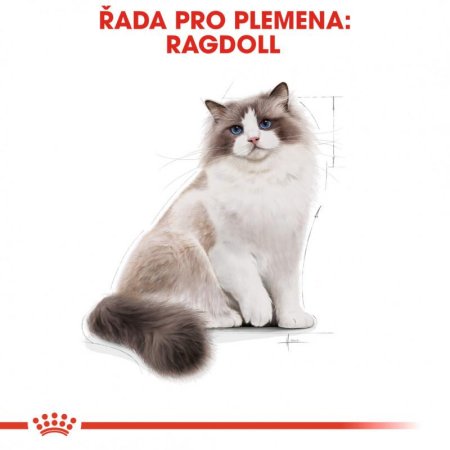 Royal Canin Ragdoll 2 kg