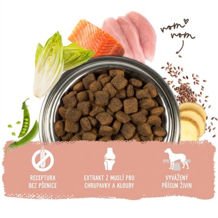 Bosch Adult Salmon & Potato 15 kg