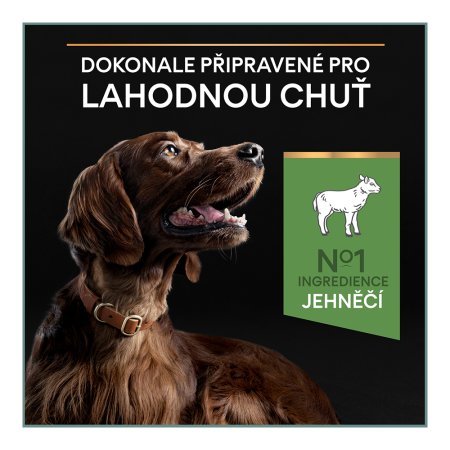 Pro Plan Large Adult Athletic jehněčí 14 kg