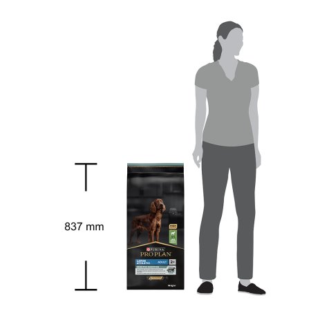 Pro Plan Large Adult Athletic jehněčí 14 kg