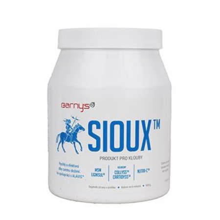 Barny’s Sioux MSM 600g