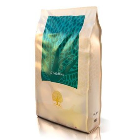Essential Foods Stamina Small 2,5 kg