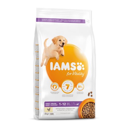 IAMS Dog Puppy Large Chicken 3kg