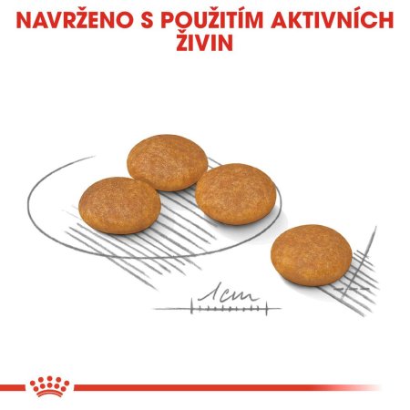 Royal Canin Mini Dermacomfort 1 kg