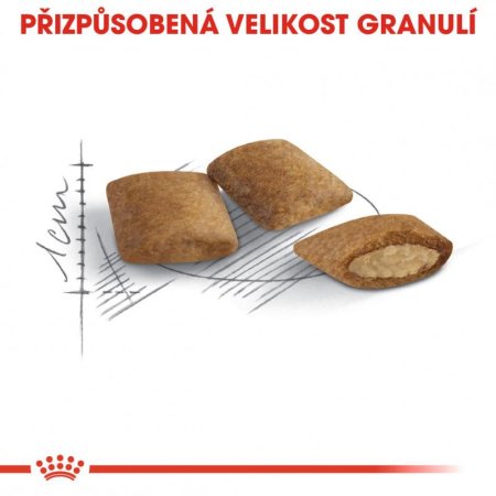 Royal Canin Ageing 12+ 400 g