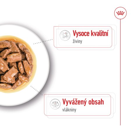 Royal Canin Maxi Adult 10 x 140 g