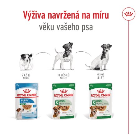 Royal Canin Mini Adult 12 x 85 g