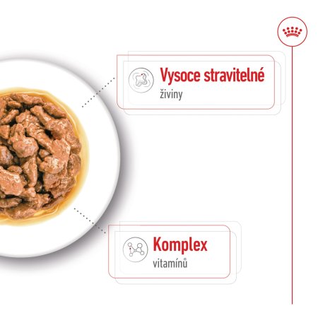 Royal Canin Mini Adult 12 x 85 g