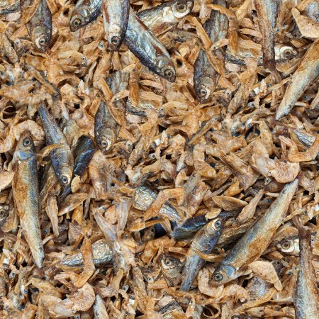 Sera Raffy Royal Nature 1000 ml / 220 g