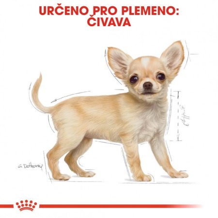 Royal Canin Čivava Puppy 1,5 kg