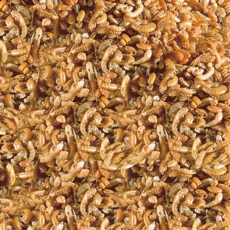 Sera Raffy I Nature 1000 ml / 130 g