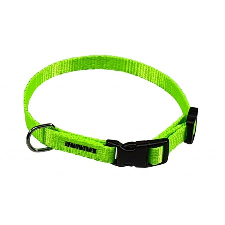 PROFIZOO Obojek popruh Neon (10mm x 18-26cm) zelený