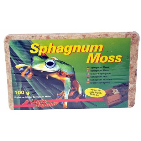 Lucky Reptile Sphagnum Moss 100 g