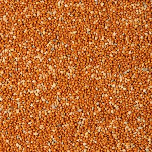 PROFIZOO Proso červené 30 kg