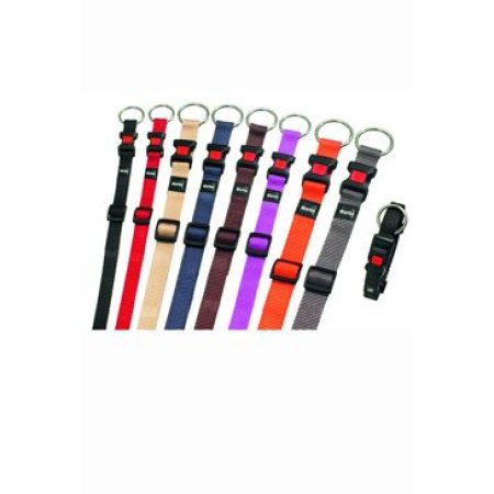 Obojek ASP růžový velikost M 40-55cm 20mm