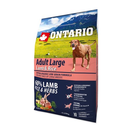 ONTARIO Dog Adult Large Lamb & Rice & Turkey 2,25kg