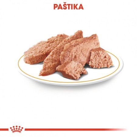 Royal Canin Yorkshire kapsičky 12 x 85 g