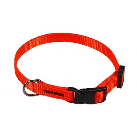 PROFIZOO Obojek popruh Neon (10mm x 18-26cm) oranžový