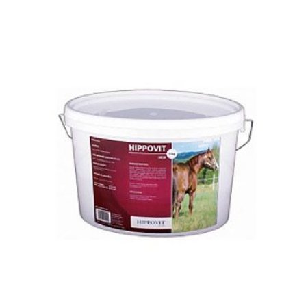 Hippovit MSM 300g