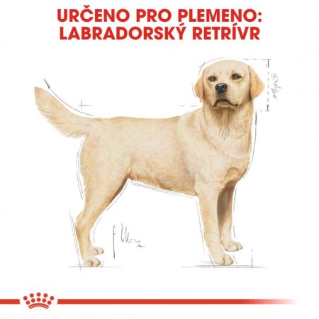 Royal Canin Labrador Retrívr Adult 12 kg