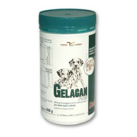 Gelacan Plus Baby 500g