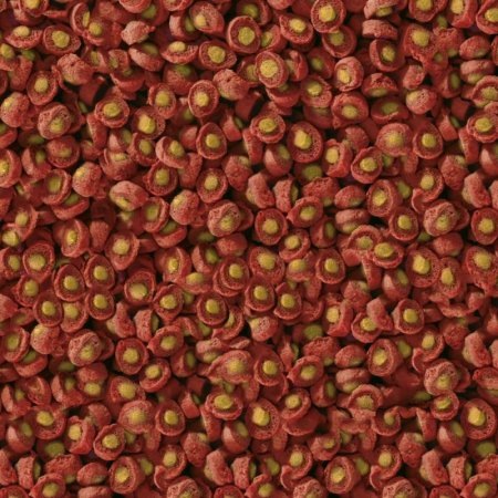 Sera KOI Professional krmivo "JARO/PODZIM" 2,2 kg